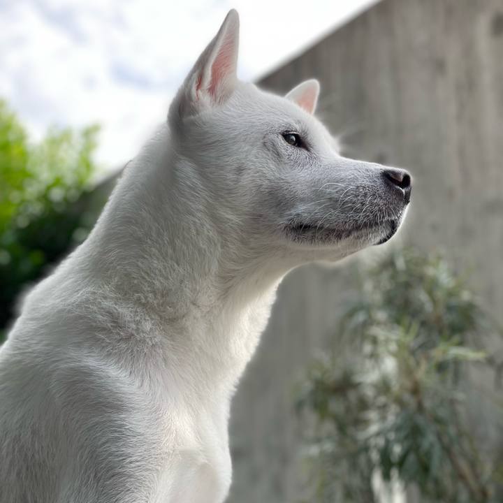 105c3aa7 16de 4777 a505 b3ffbc2473e9 1665655402240