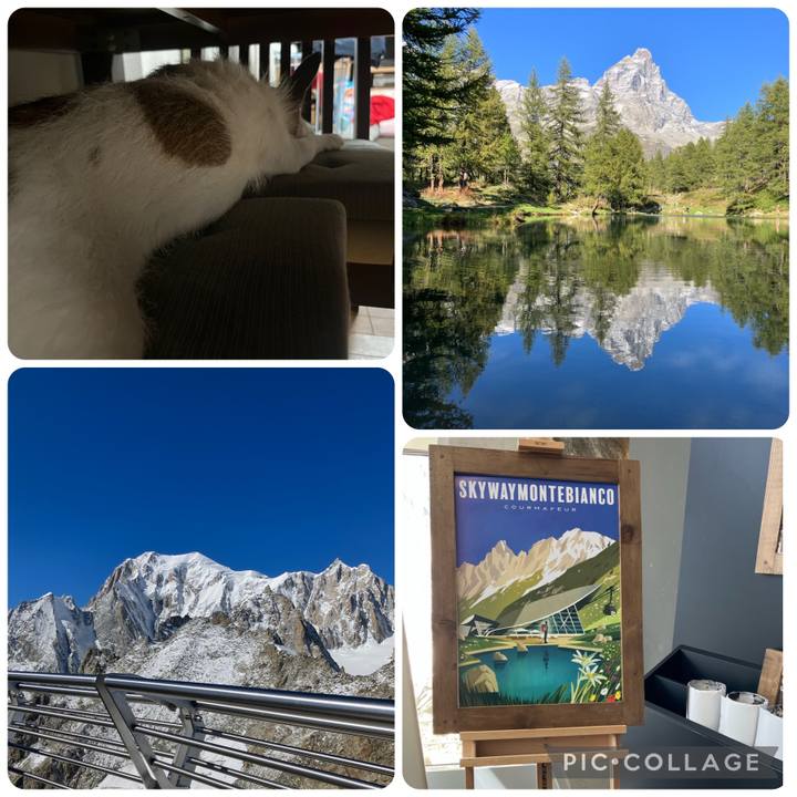 105c4f20 4069 47d5 95b6 76f59ec47790 1695702236709