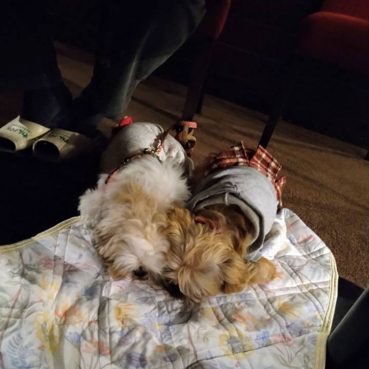 105ccd5b 1d63 4b36 9adb 5c74b92c4afa 1603634341415