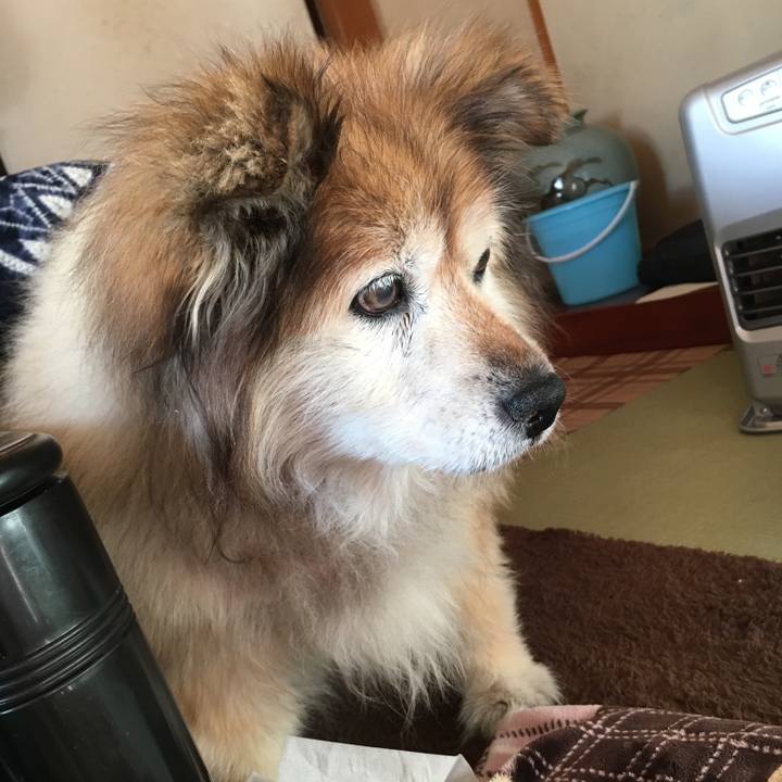 105cebb5 2850 4daa 9be2 cc89ea9824e9 1611119920089