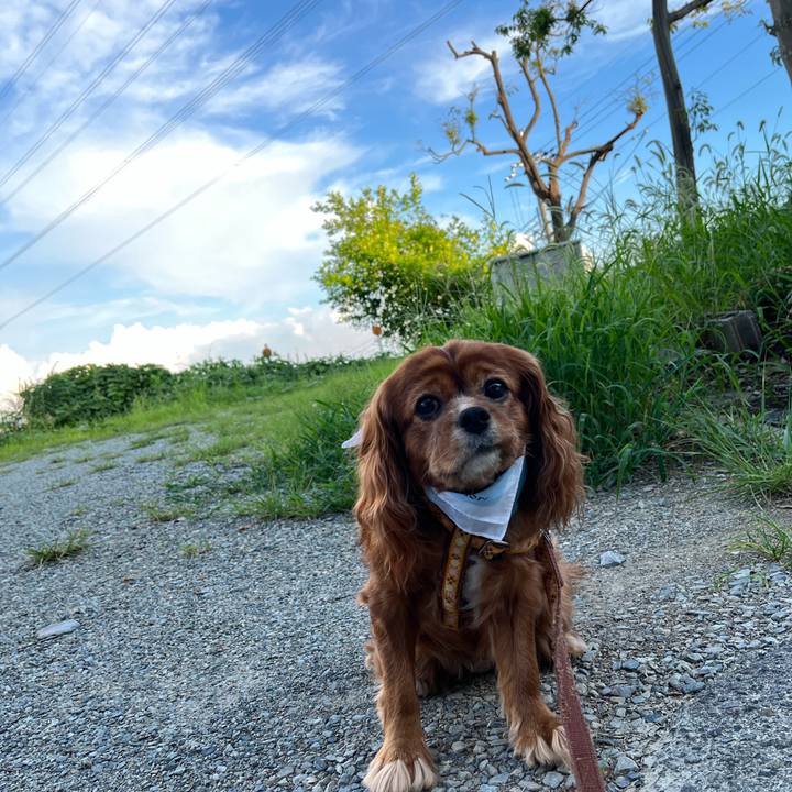 105cf978 4d69 4827 937f a1296b047585 1659784578076