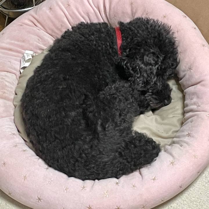 105d2087 5454 46c0 ad0f 231c7b045617 1666525626987