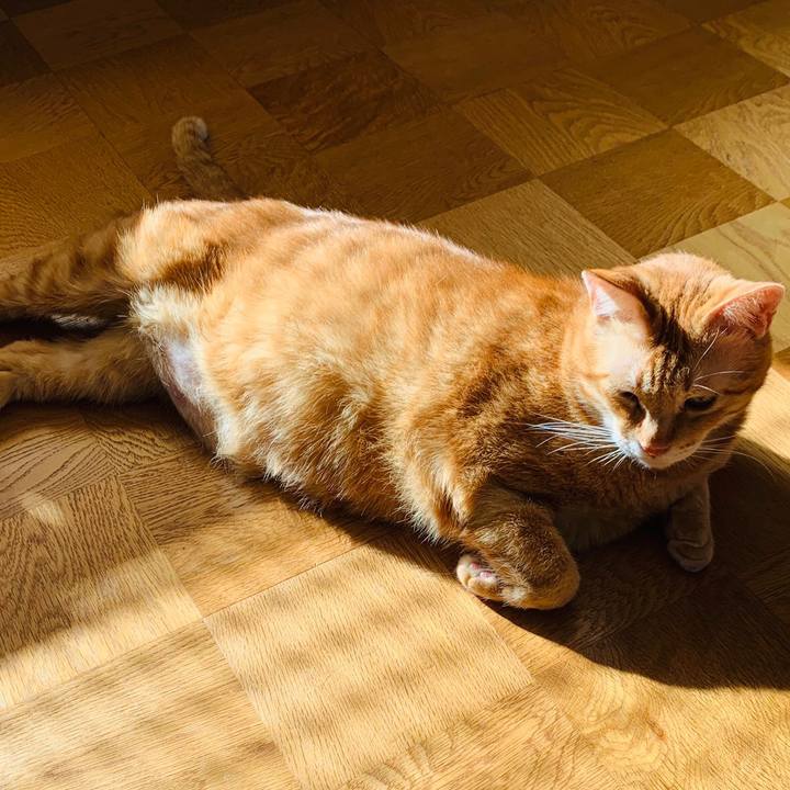 105d35e2 7c9a 4520 8f7c 805225bfd0e2 1599122795770