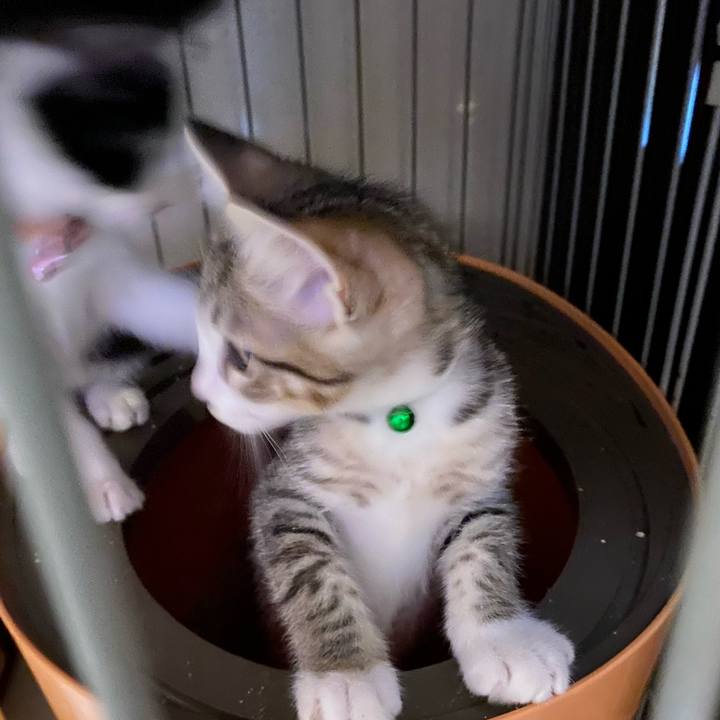 105d503b 7853 4cf5 91c3 dd7a8dcb5bb5 1625642121278