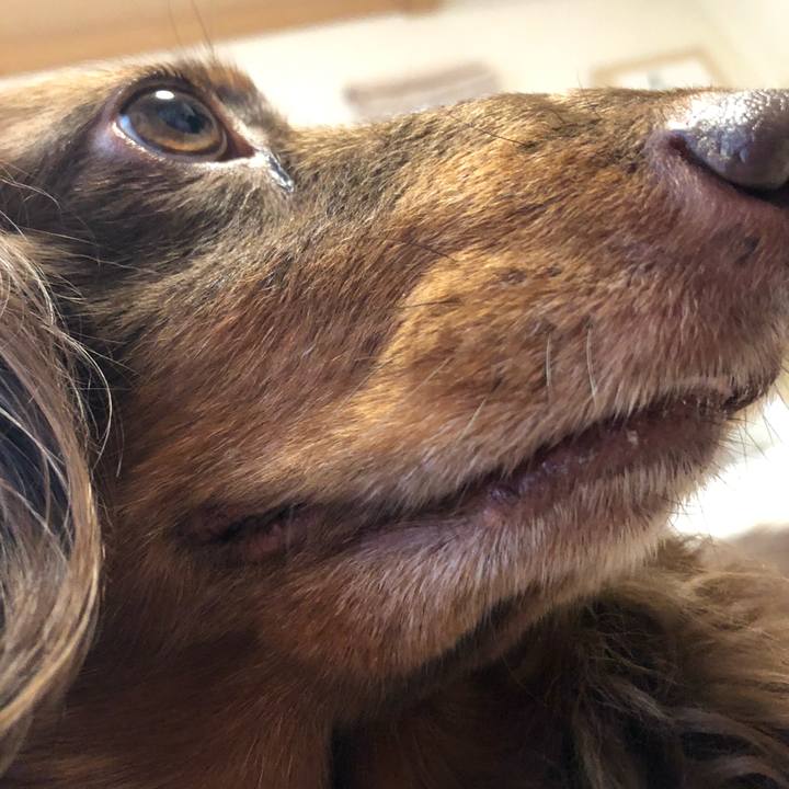 105d56d1 8619 40c5 8c91 6294ddbe73c2 1683443814616