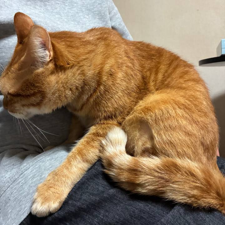 105d7592 027b 4b3f 81a9 c7ccd85af17d 1763988348488