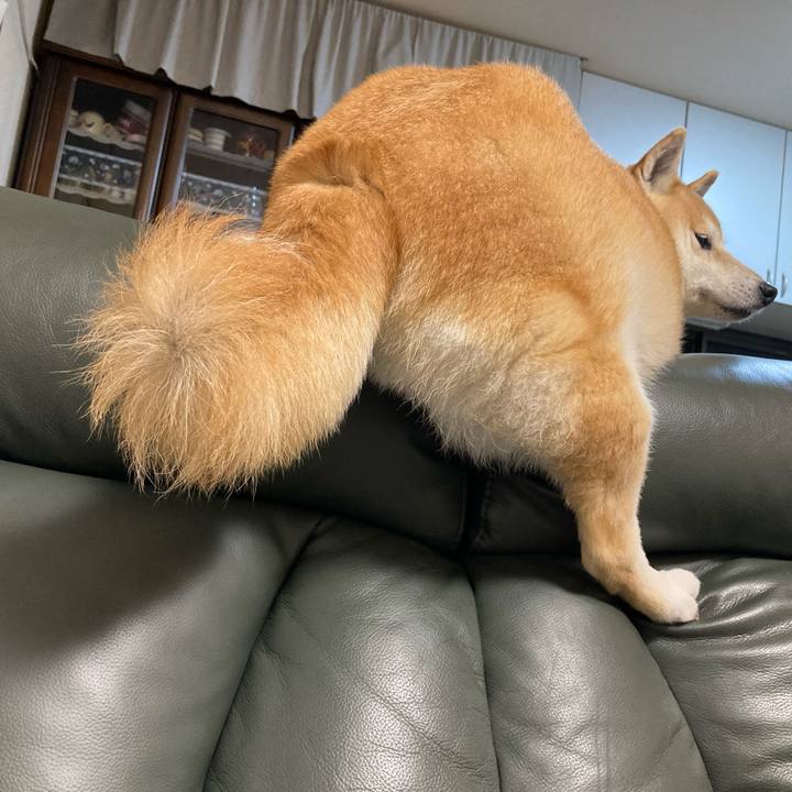 105d7614 4aea 4b8d bbd2 3ada1adf007b 1625289635695