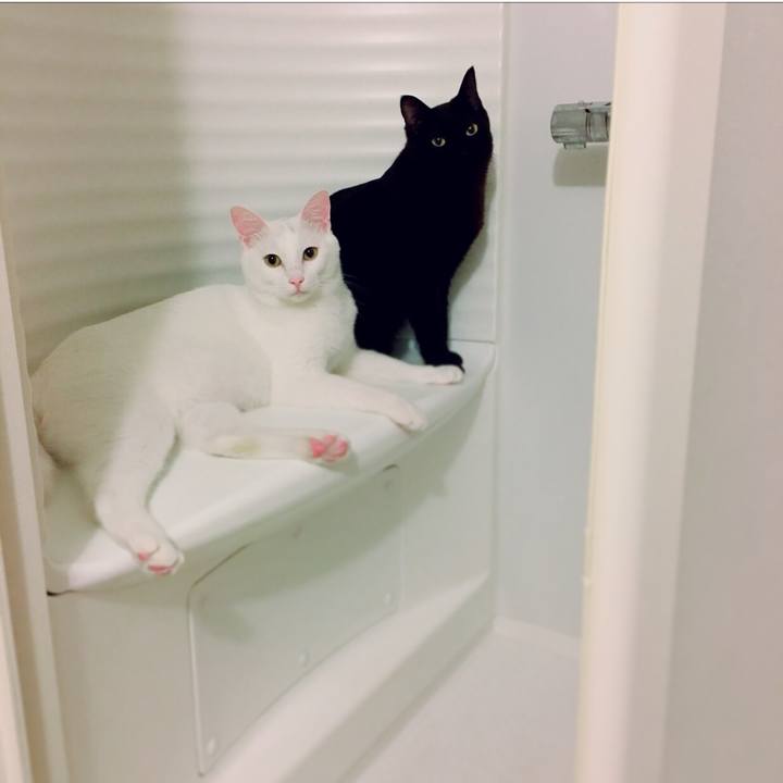 105d7b59 0ad6 4de2 b5d3 ef22ad459f20 1525267974617