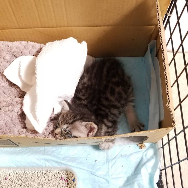 105d860a 20d6 4338 a291 dc509308f308 1660569980469