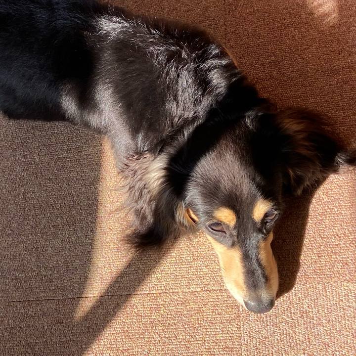 105d8eed 795b 4985 a0b9 781ecc4f7221 1678319835630