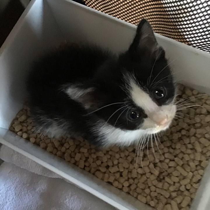 105da902 2581 44cb ba0f dbe9585df6d5 1622332461082