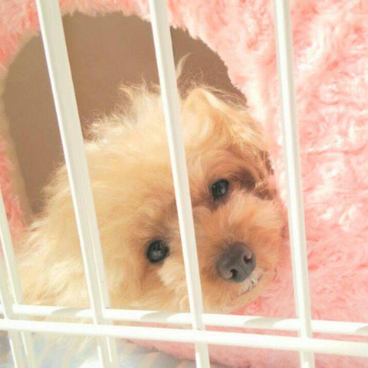 105dab18 30e5 4abd 80e0 4e3ec2021d02 1540197587236