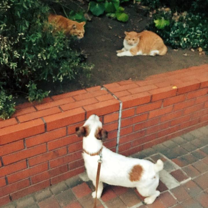 105dc635 c4c6 4216 8115 ddd961cee7bb 1532606437761