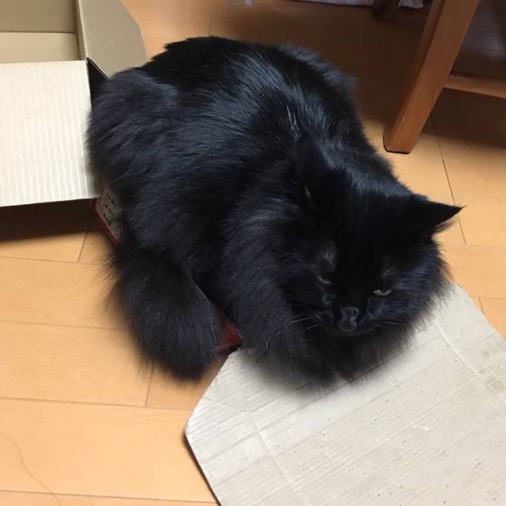 105de6a8 c321 406b 9a56 3d36e4e8c96c 1546519378969