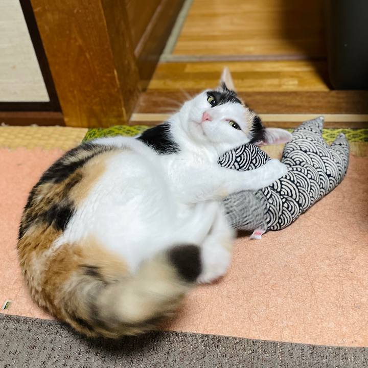 105df28a aadf 4e60 950e 916acf7c228e 1658707644914