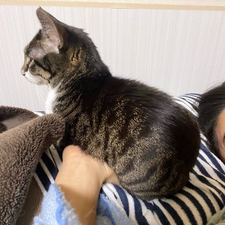 105e123d 02d7 48e6 8306 a53bd9e52603 1676062878962