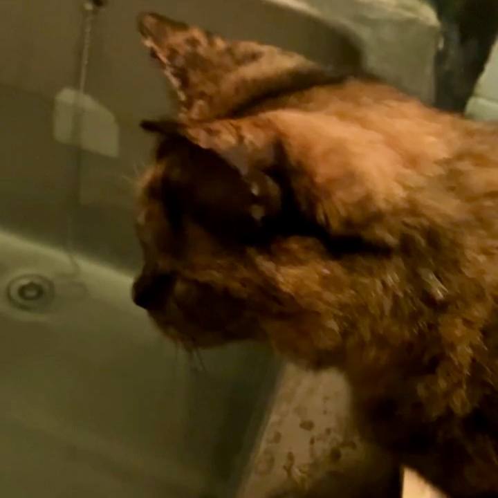 105e252b 9e51 4fc0 bde6 143a60d0c399 1731867751877