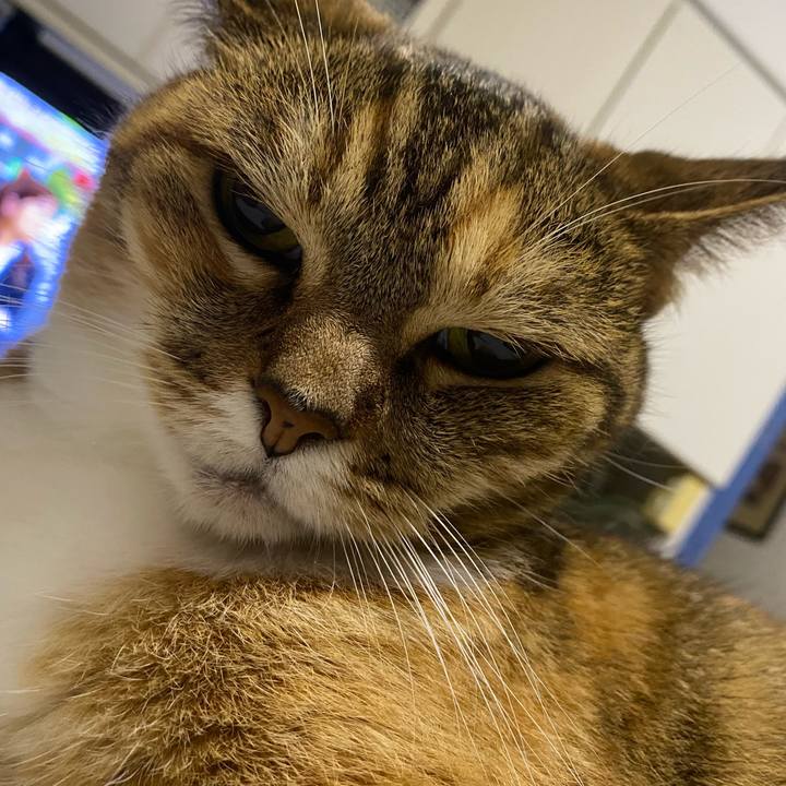 105e595c 212c 47c7 932e e074df4c49c9 1658538335156