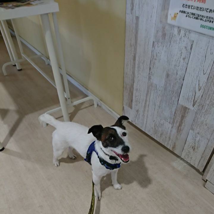 105e5d6f 00d1 4bad 8a7e 705ac71e2ed2 1526356940411