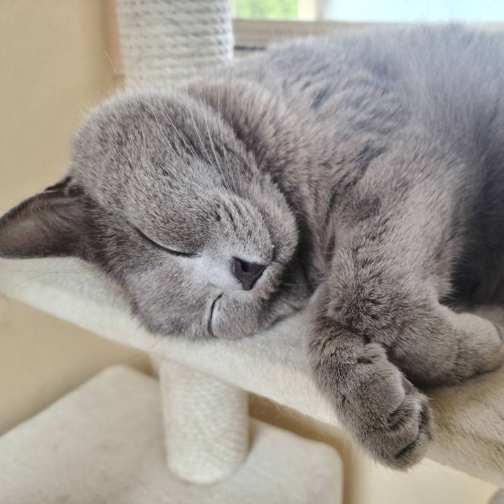 105e6a7a ca0f 431c 89c4 454a4464d0fb 1655780853473