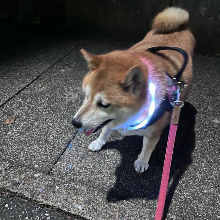 105e84e0 b4e7 45cc 8a22 56d8abe3071f 1695206030954