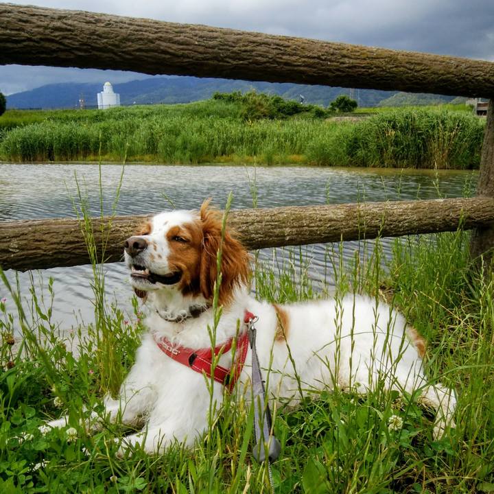 105ed64e 71fb 4fb9 91b5 c5e805ec0dfe 1561894785092