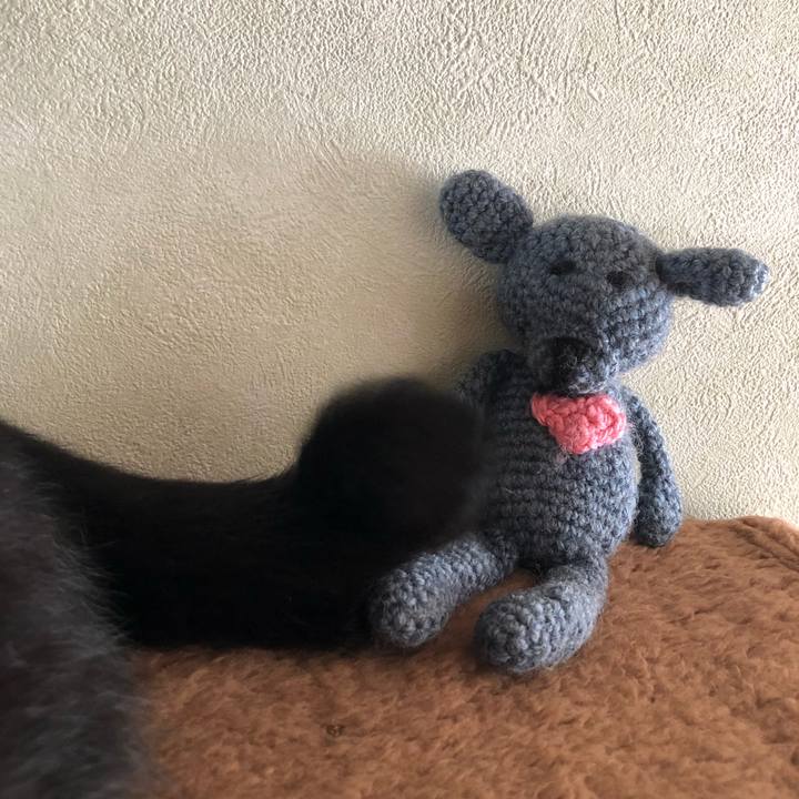 105f0db9 9fc9 4606 9763 cd69af3c3f1d 1541912421937