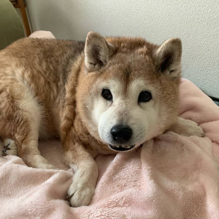 105f235c 5ec6 4afc 8c4b 1e10ee2514c5 1648104903081