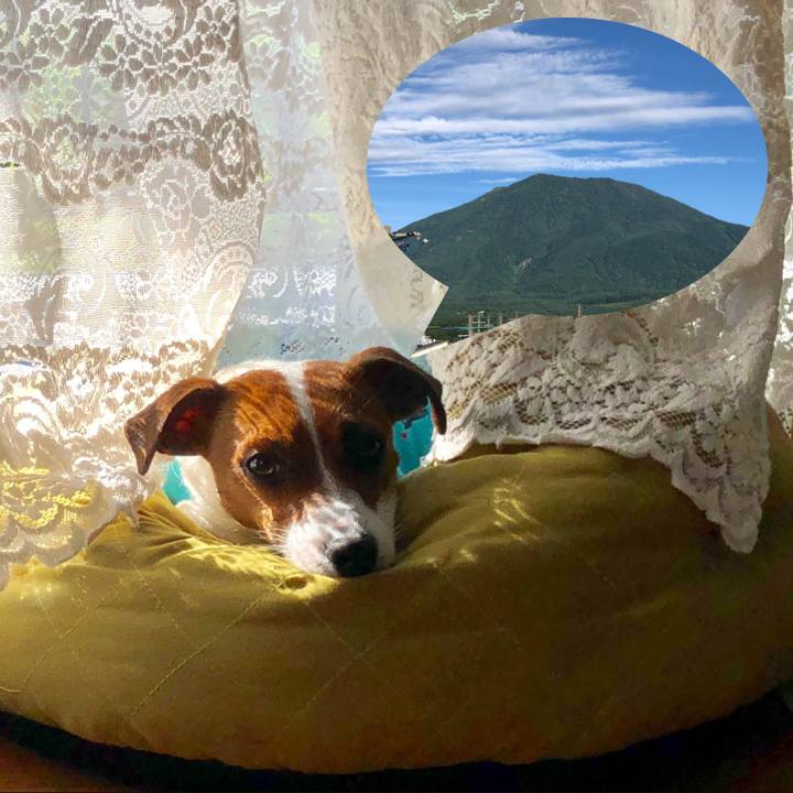 105f3139 fc4c 41ca 8956 3f836eba7c7b 1531093291316