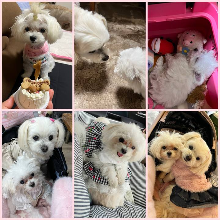 105f390e 03dc 4958 8a49 97908d7f744e 1726797999159