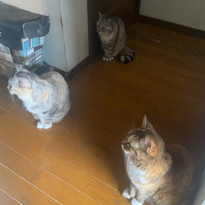 105f45da eff5 4a08 a879 fea17b98f1fc 1745131211998