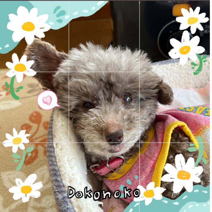 105f7bd4 cd74 42dd a3ae 1650d74a2220 1712445406668