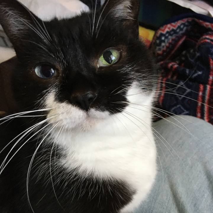 105f7dfa 52ea 4b01 a99f a6ff243ca5de 1586841734415