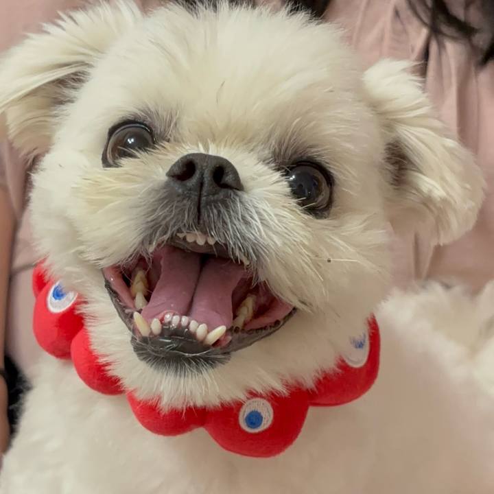 105f929a 5308 48ae aa89 bdf67d8026f4 1752844498270