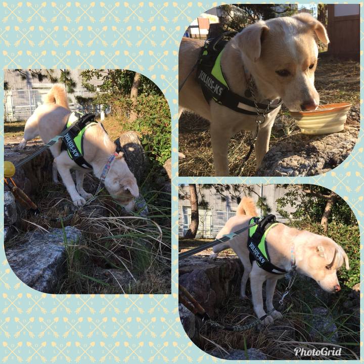 105f9e04 4971 4626 b947 6e919a5c870a 1540870976267