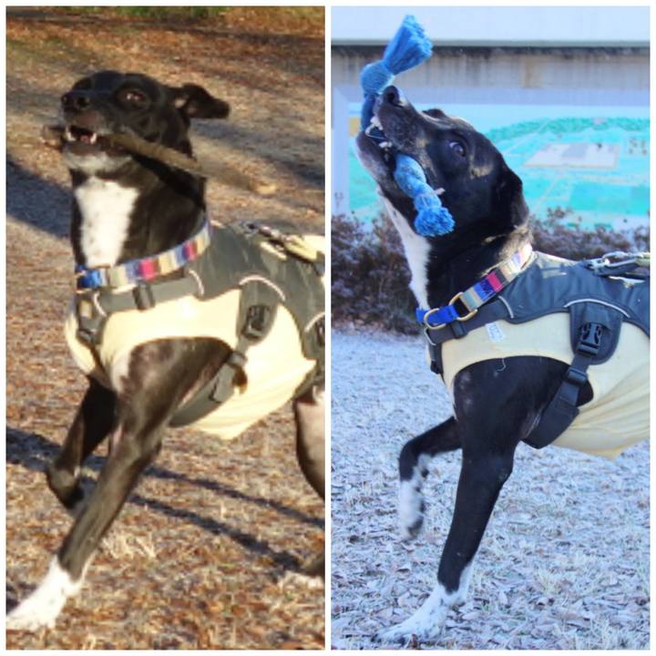 105fa3d7 54bb 41c5 9bd4 4fbbe4f8a67a 1641258522280