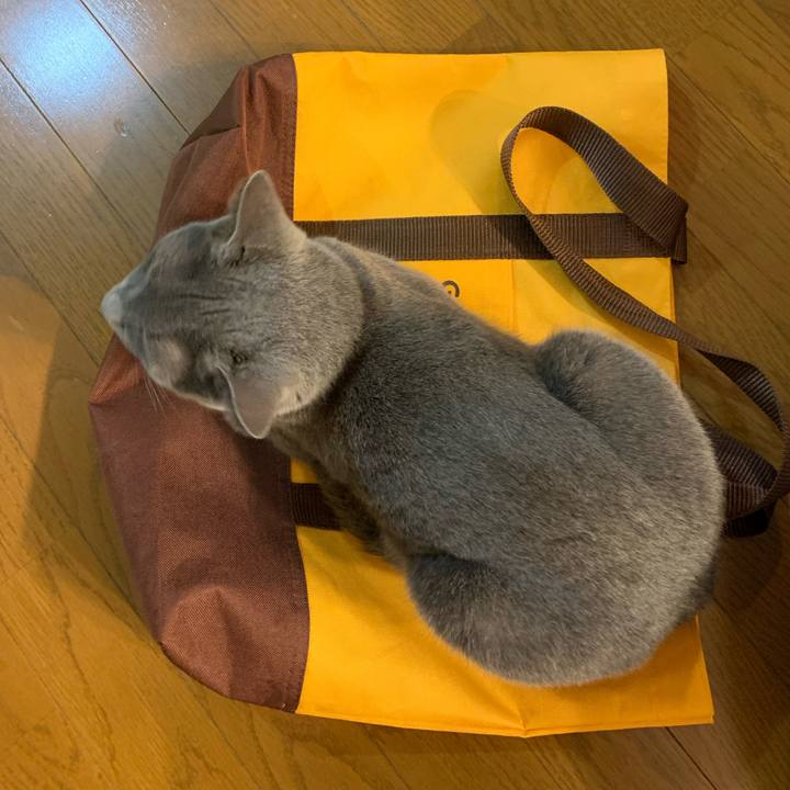 105fc477 7037 47fe ab17 a71c1c9765cc 1657351376034