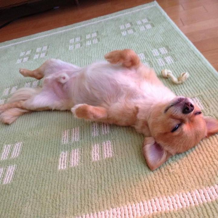 105fd6e5 4397 4a59 be36 8373d2371e74 1518181208256