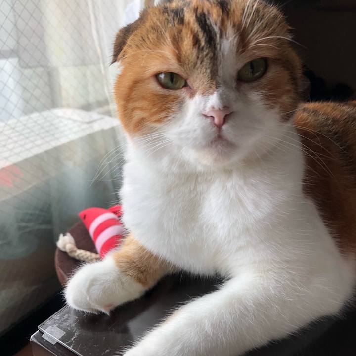 105fdf7e db2b 4205 998c bac9d8e06ede 1566100896291