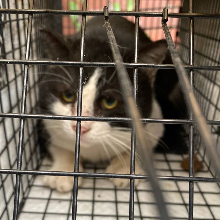 105fe5d3 fa80 40b9 8389 0582ef957656 1633929333965