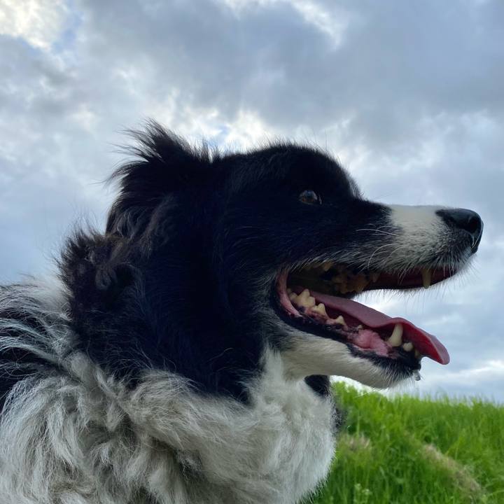 105fe955 64e8 4b13 baa0 b66a6340f4c5 1623837659224