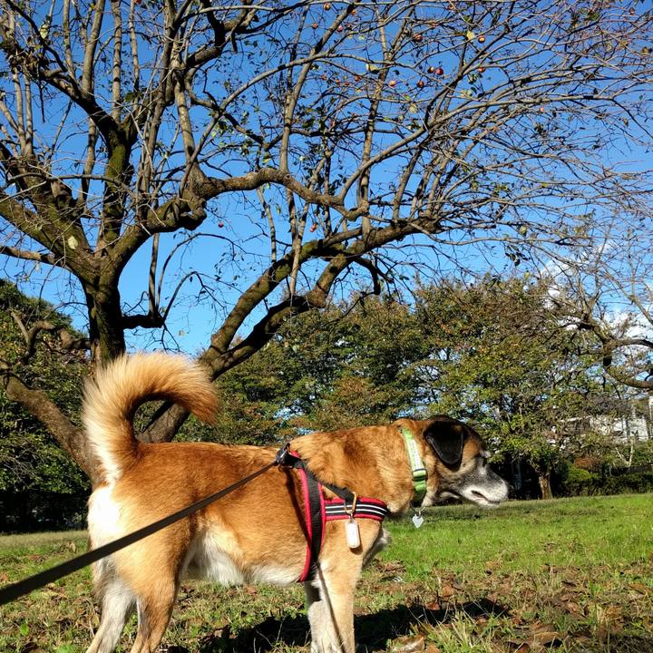 10600993 36ec 4d74 a6f5 329157c17321 1509322880827