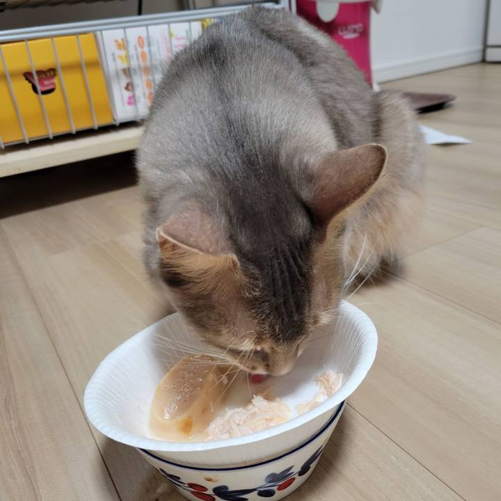 10602e16 7ad2 48d9 815c 30d11bedce86 1640942395900