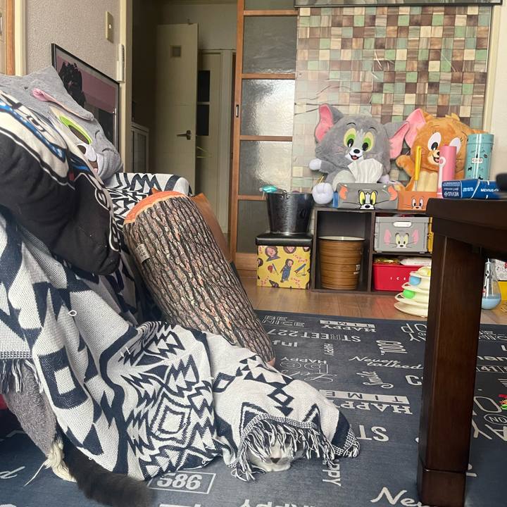 106047b1 3f0f 4abe ad8f 5d203751b155 1691295360499