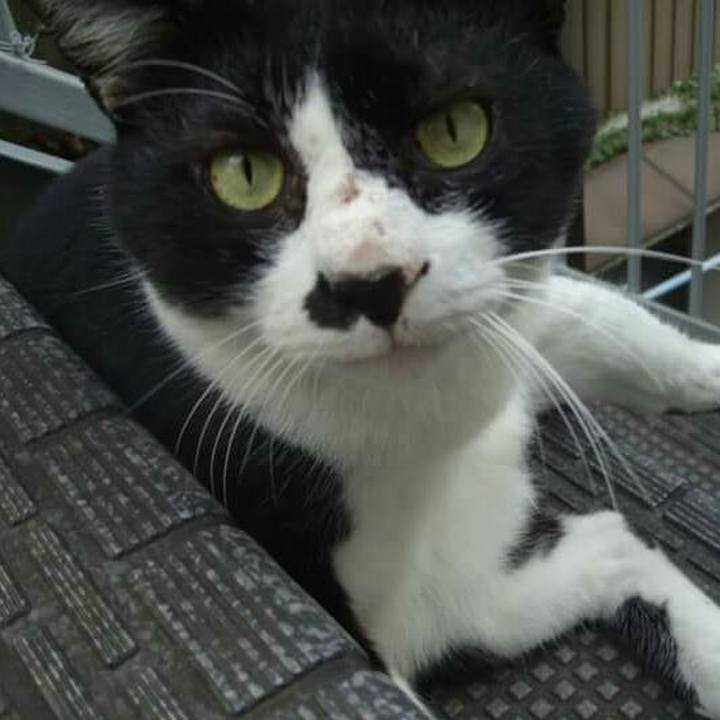 1060b04a 2721 4167 ac86 125b90d89bf5 1512046485886