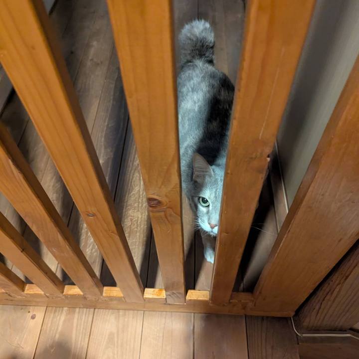 1060b9ea 05ee 4567 989d f38248b4c5b0 1746927915034