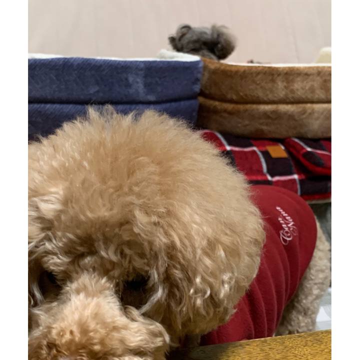 1060cd3e 630a 42b6 8281 abe776ad24a4 1603015334039