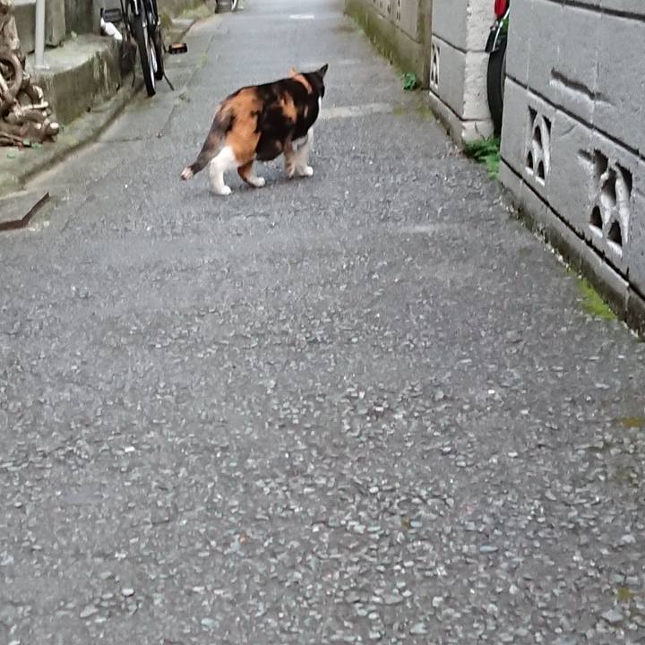 1060df04 fbd9 469a af10 c0f549dd4877 1663794093135