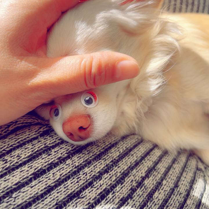 10614b27 986c 4879 a754 b38cf7a786f1 1705292366666