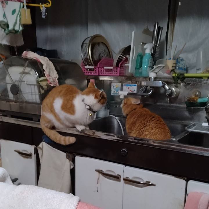 10614f1c 72e9 4b6a 99be 28520c4ab832 1766792807835